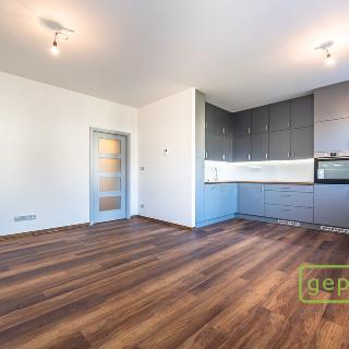 Pronájem bytu 2+kk 43 m² Praha, Trojmezní