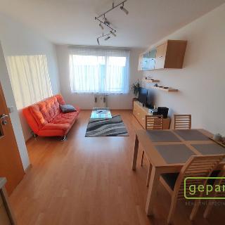 Pronájem bytu 2+kk 42 m² Praha, Ve slatinách