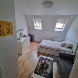 Pronájem bytu 1+1 32 m² Praha, Pod Barvířkou