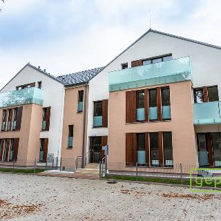 Pronájem bytu 1+kk a garsoniéry 45 m² Slaný, K. H. Borovského