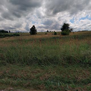 Prodej stavební parcely 2258 m&sup2; Trhové Sviny