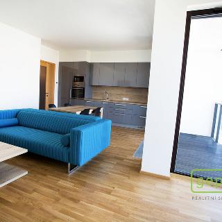 Pronájem bytu 2+kk 59 m² Praha, Sanderova