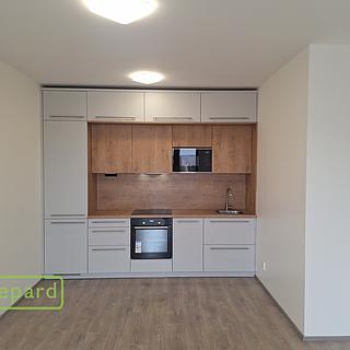 Pronájem bytu 2+kk 50 m&sup2; Slaný
