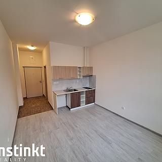 Pronájem bytu 1+kk, garsoniery 22 m&sup2; Janovice nad Úhlavou