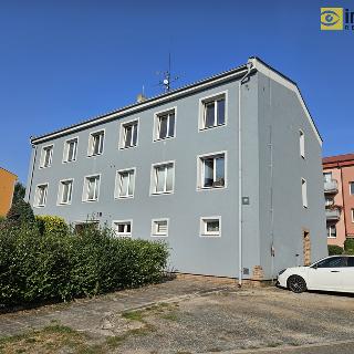 Pronájem bytu 2+1 55 m² Tlučná, V Rybníčkách