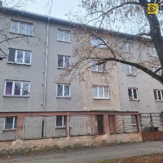 Pronájem bytu 3+1 81 m² Plzeň, Brožíkova