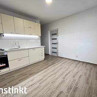 Pronájem bytu 1+1 36 m&sup2; Chodov
