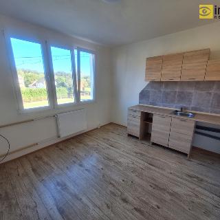 Pronájem bytu 1+1 40 m² Manětín, 