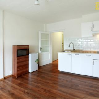Pronájem bytu 1+kk a garsoniéry 22 m² Praha Strašnice, Královická