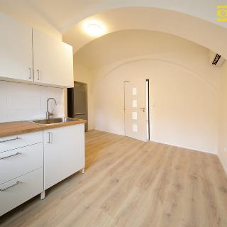 Pronájem bytu 1+1 50 m² Strážov, 