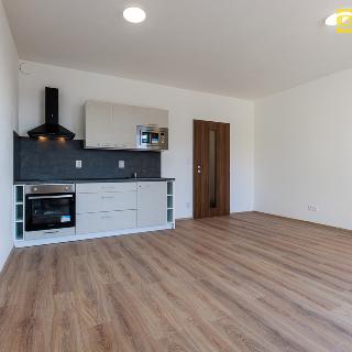 Pronájem bytu 1+kk a garsoniéry 45 m² Plzeň, Studentská