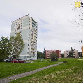 Prodej bytu 1+kk a garsoniéry 23 m² Příbram, Jana Drdy