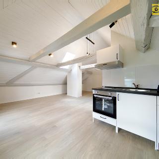 Pronájem bytu 1+kk a garsoniéry 40 m² Strážov, 