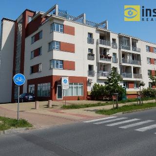 Pronájem bytu 1+kk a garsoniéry 54 m² Plzeň, Na Chmelnicích