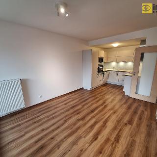 Pronájem bytu 3+kk 90 m² Plzeň, Vltavínová