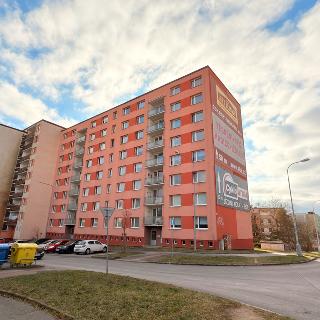 Pronájem bytu 2+1 69 m² Plzeň, Sokolovská