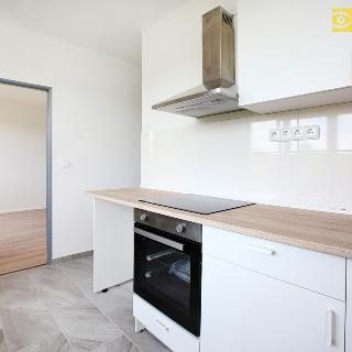 Pronájem bytu 1+1 42 m² Osek, 