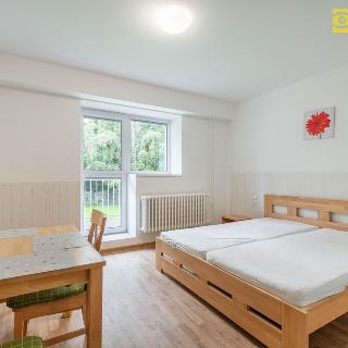 Prodej bytu 1+kk a garsoniéry 41 m² Železná Ruda, Pancířská