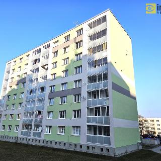 Pronájem bytu 1+1 34 m² Dobřany, Loudů