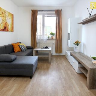 Pronájem bytu 2+kk 46 m² Praha, U Kamýku