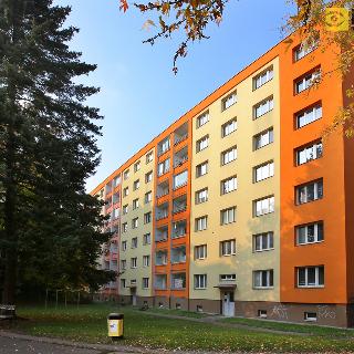 Pronájem bytu 2+1 55 m² Praha, Káranská