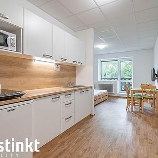 Pronájem bytu 1+kk, garsoniery 35 m&sup2; Železná Ruda