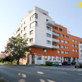 Pronájem bytu 2+kk 56 m² Praha, Na výspě