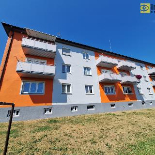 Pronájem bytu 3+1 67 m² Domažlice, Thomayerova