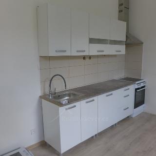 Pronájem bytu 2+kk 37 m² Skalice u České Lípy, 