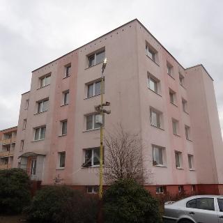 Pronájem bytu 1+kk, garsoniery 29 m² Nový Bor