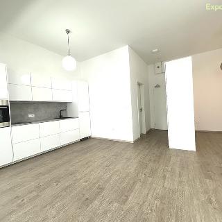 Pronájem bytu 1+kk a garsoniéry 42 m² Zlín, Lorencova