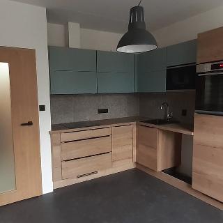 Pronájem bytu 1+1 40 m² Zlín, Padělky IX