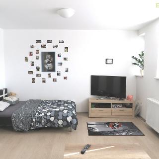 Pronájem bytu 1+kk a garsoniéry 29 m² Zlín, Broučkova