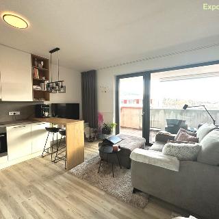 Pronájem bytu 1+kk a garsoniéry 48 m² Zlín, Boněcký rybník