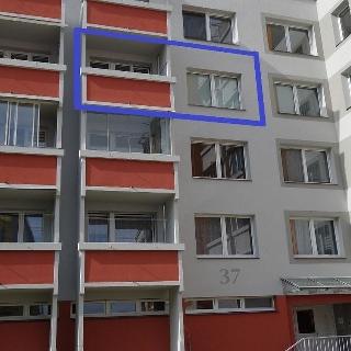 Pronájem bytu 1+1 46 m² Jindřichův Hradec, Hvězdná