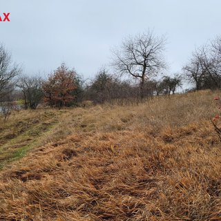 Prodej louky 6 483 m² Třebsko