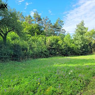 Prodej louky 3885 m&sup2; Sýkořice