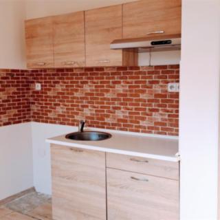 Pronájem bytu 1+kk a garsoniéry 20 m² Ústí nad Labem -centrum, Stará