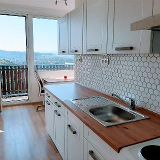 Pronájem bytu 2+1 54 m² Ústí nad Labem