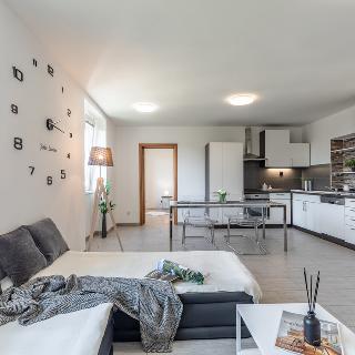 Prodej bytu 3+1 94 m² Meziboří, Dělnická