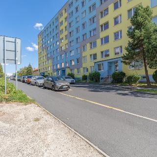 Pronájem bytu 2+kk 40 m² Litvínov, Hamerská