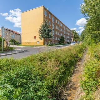 Pronájem bytu 3+1 62 m² Litvínov, Vinohradská