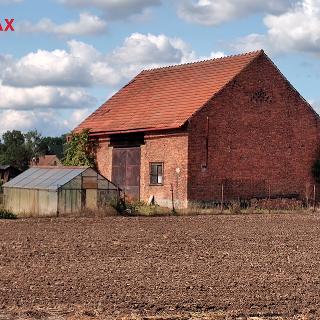 Prodej zemědělské půdy 905 m² Pětipsy