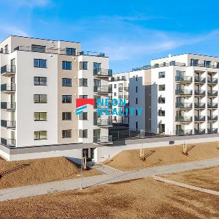 Pronájem bytu 2+kk 60 m² Opava, Vančurova