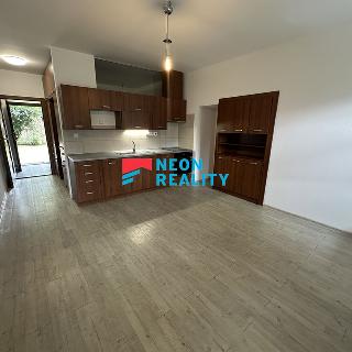 Pronájem bytu 1+kk a garsoniéry 33 m² Ostrava, Petra Křičky