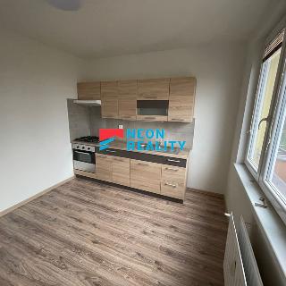 Pronájem bytu 1+1 39 m² Orlová, Vnitřní