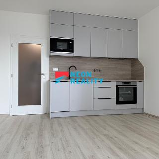 Pronájem bytu 1+kk, garsoniery 35 m² Opava