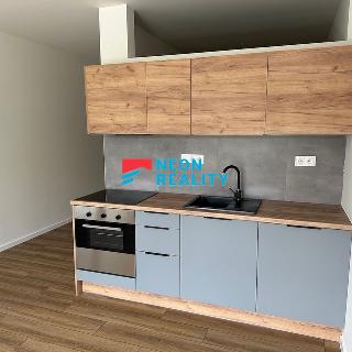 Pronájem bytu 1+kk a garsoniéry 44 m² Ostrava, Petra Křičky