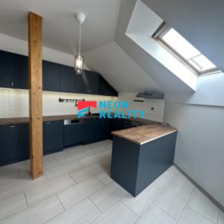 Pronájem bytu 2+1 103 m² Ostrava Přívoz, Libušina