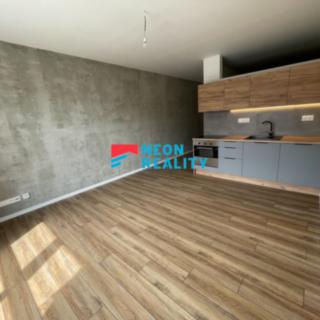 Pronájem bytu 1+kk, garsoniery 52 m² Ostrava